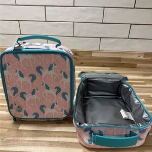 Pink and Teal Lunch Box Set